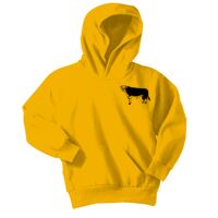 Youth Core Fleece Pullover Hooded Sweatshirt Thumbnail