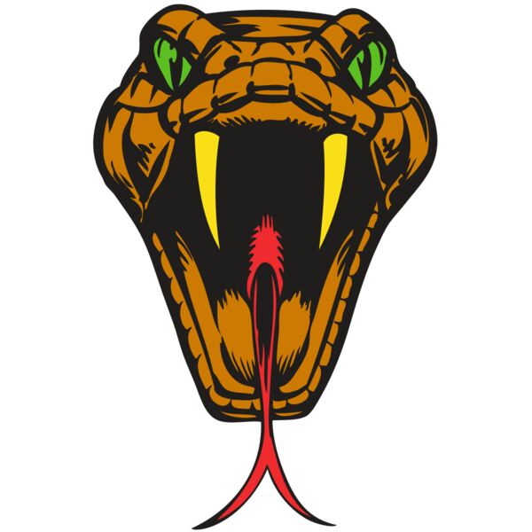 BAW SNAKE 05 RC Thumbnail