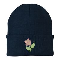 Knit Cap Thumbnail