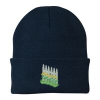 Knit Cap Thumbnail